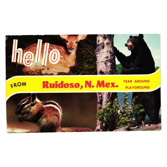 Vintage Dexter Press Postcard Ruidoso New Mexico Wildlife Deer Bear Chipmunk - Picture 1 of 2